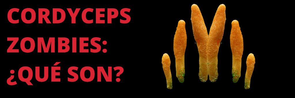 Los Cordyceps Zombies: ¿Qué Son?